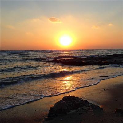 半岛·综合体育手机app下载