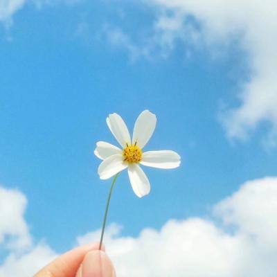 半岛.综合app截图