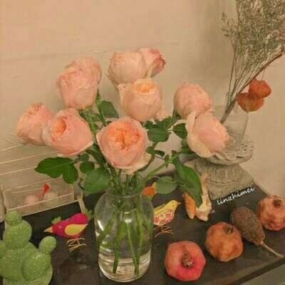 万博·体育app下载