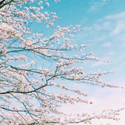 168极速赛车平台